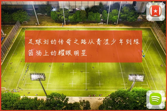 足球刘的传奇之路从青涩少年到绿茵场上的耀眼明星